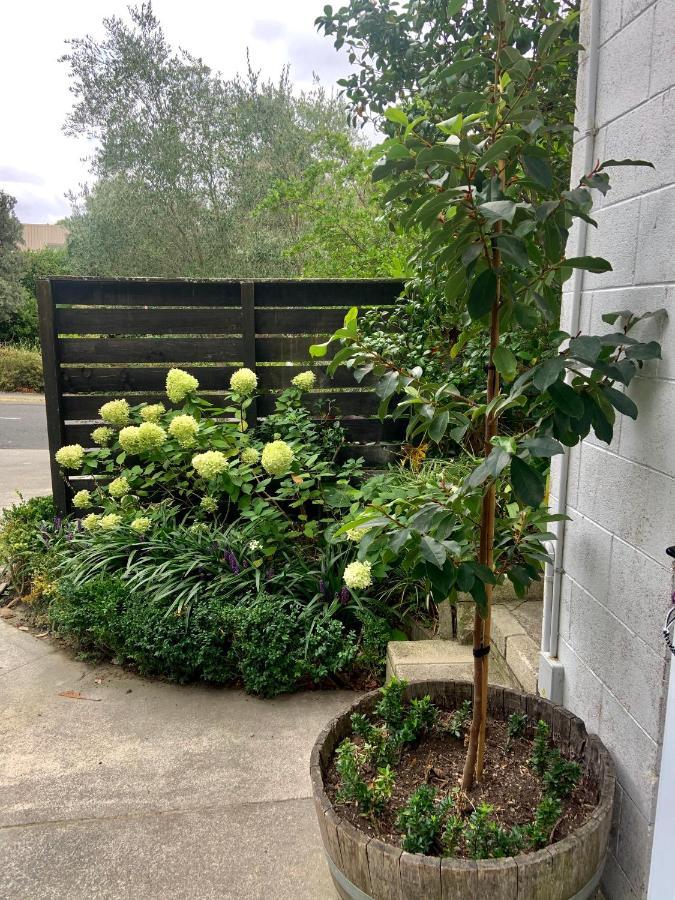 Garden Studio Apartment Havelock North Exterior photo